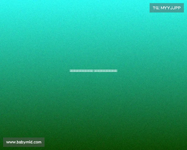 赵继伟或将在最后一届全运会亮相 刘炜曾连续参加六届展现坚韧精神